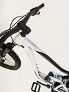 Giant Trance X 3 2023 / X-LARGE /RRP: £3,299.00 / Excellent Condition!