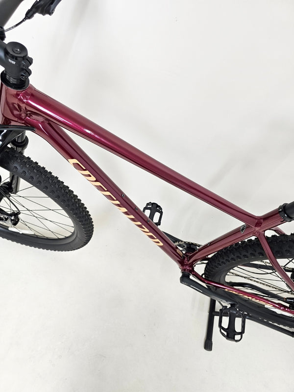 Specialized Chisel 2022 / LARGE / Very Good Condition / RRP: £2,000.00