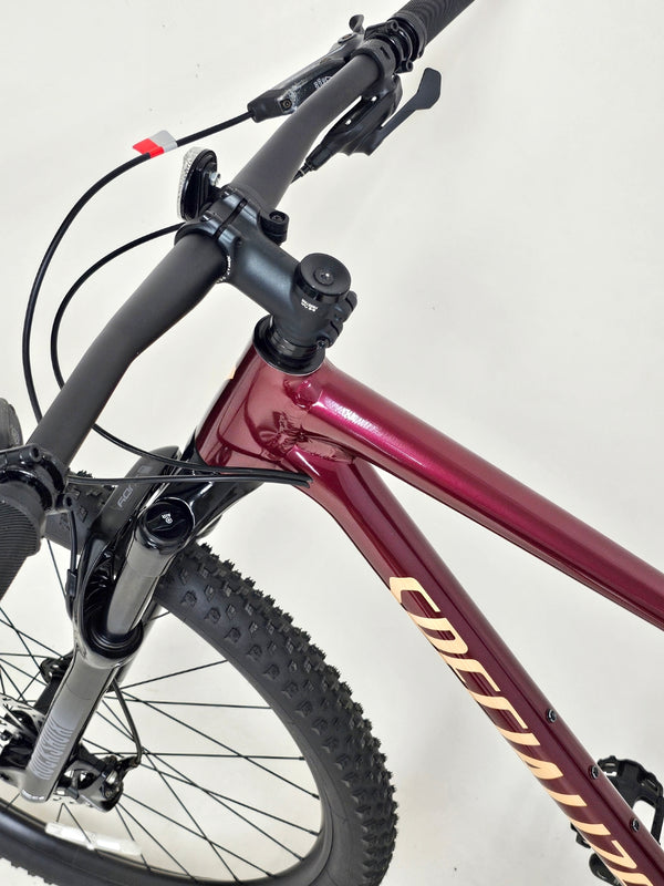 Specialized Chisel 2022 / LARGE / Very Good Condition / RRP: £2,000.00