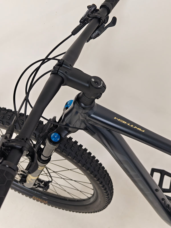 Giant Anthem 29 2 / LARGE / RRP: £2,499.00 / Excellent Condition