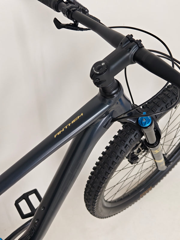 Giant Anthem 29 2 / LARGE / RRP: £2,499.00 / Excellent Condition