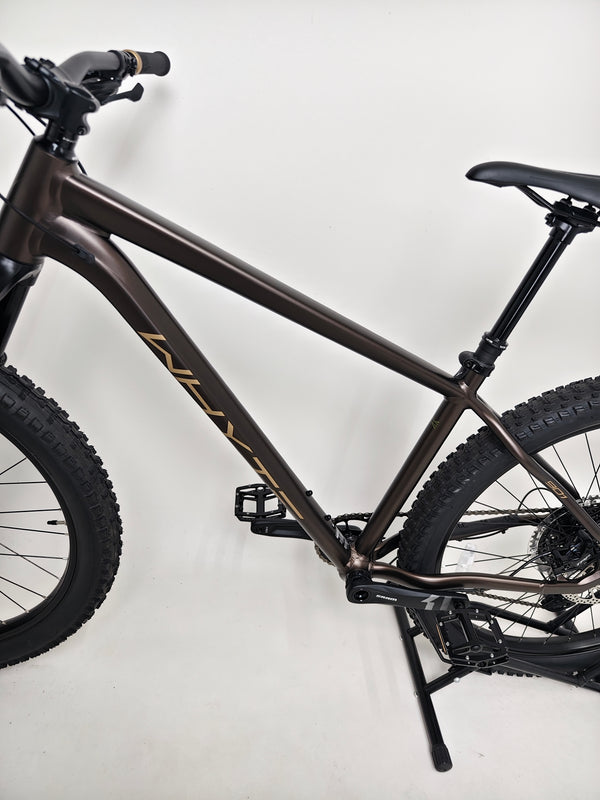 Close-up image of the SRAM X1 Eagle chainset on the Whyte 901 V5 2024 Mountain Bike at eMado.