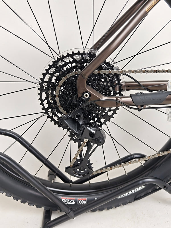 Image of the Whyte 901 V5 2024 Mountain Bike highlighting its dual disc brakes at eMado.
