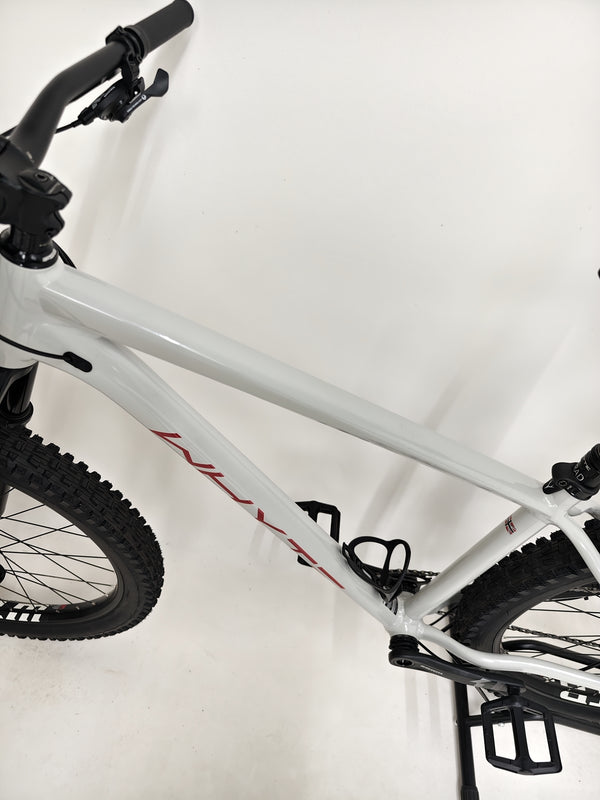 Close-up of the color finish on the Whyte 905 V5 2023 Mountain Bike, showcasing gloss cement and rose.