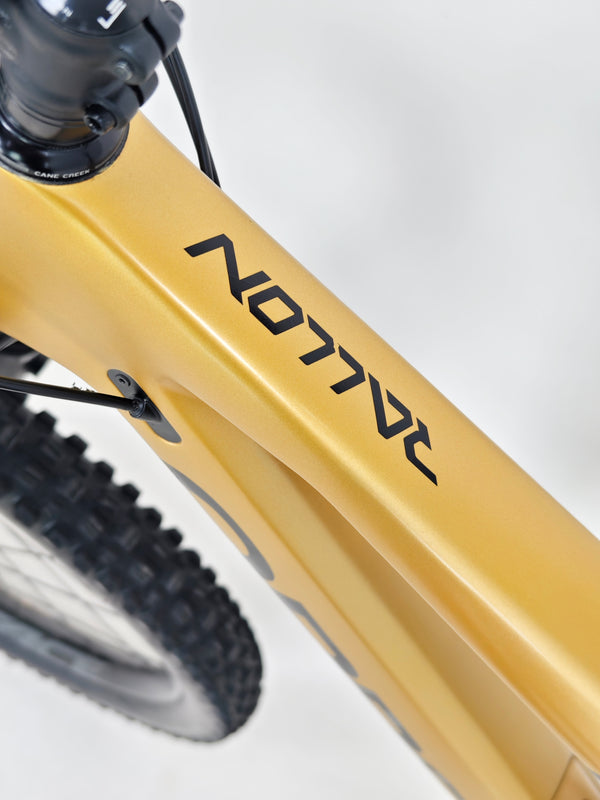 Orbea Rallon M20 Carbon 2023 / LARGE / FOX 38 / RRP: £5,299.00 / Very Good Condition!
