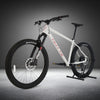 Whyte 905 V4 2023 / EXTRA LARGE / RRP: £2,099.00 / Excellent Condition