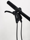 Specialized Rockhopper EXPERT 2023 / LARGE / Very Good Condition