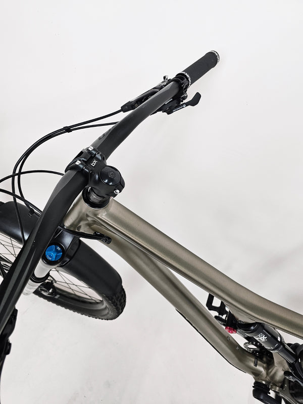 Stumpjumper evo comp alloy 29 online