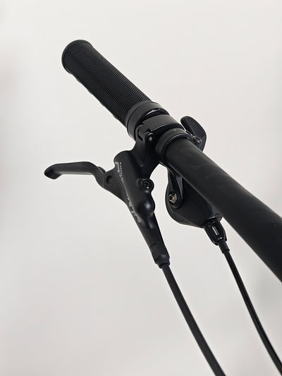 Giant Trance 29 1 2023 / LARGE / RRP: £3,599.00 / Very Good condition