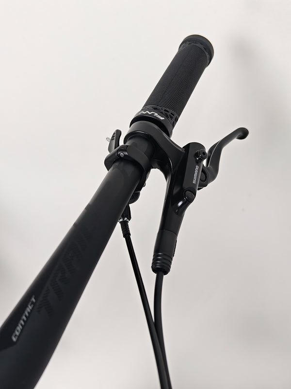 Giant Stance 29 2 2024 capturing the overall look and feel of the mountain bike.