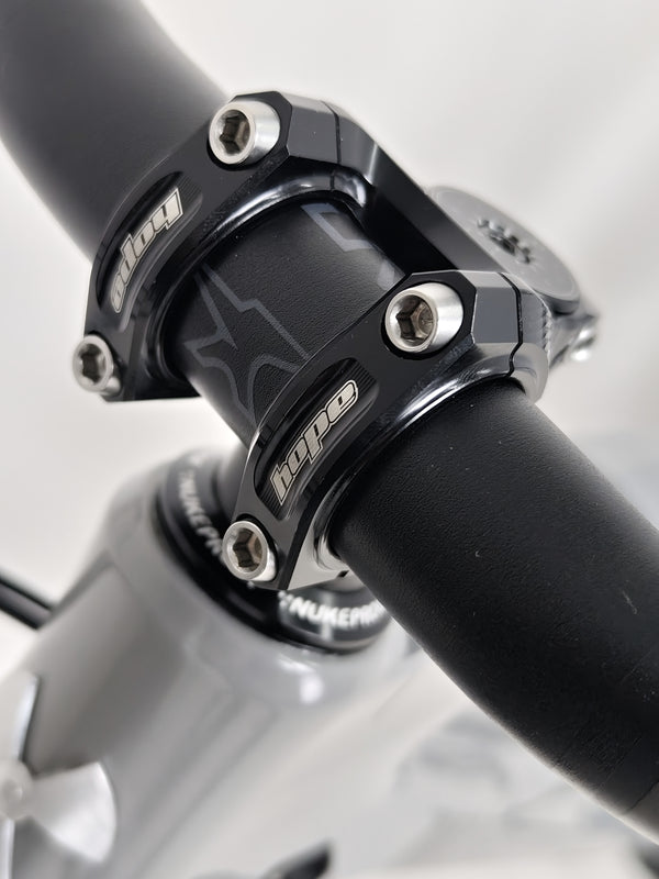 Nukeproof Mega 290 CARBON - Close-up displaying the SRAM NX 12-speed cassette's details.