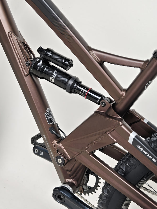 The Orange ALPINE 6 mountain bike presented in a urban setting, showcasing its vibrant color.