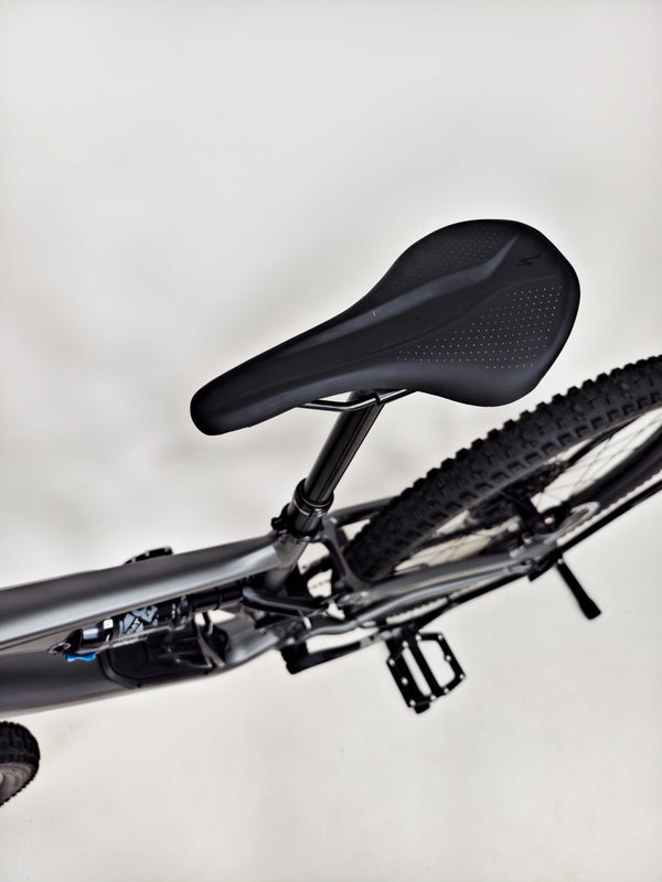Specialized Stumpjumper EVO Comp Alloy 29 / MEDIUM (S3) / Very Good Condition