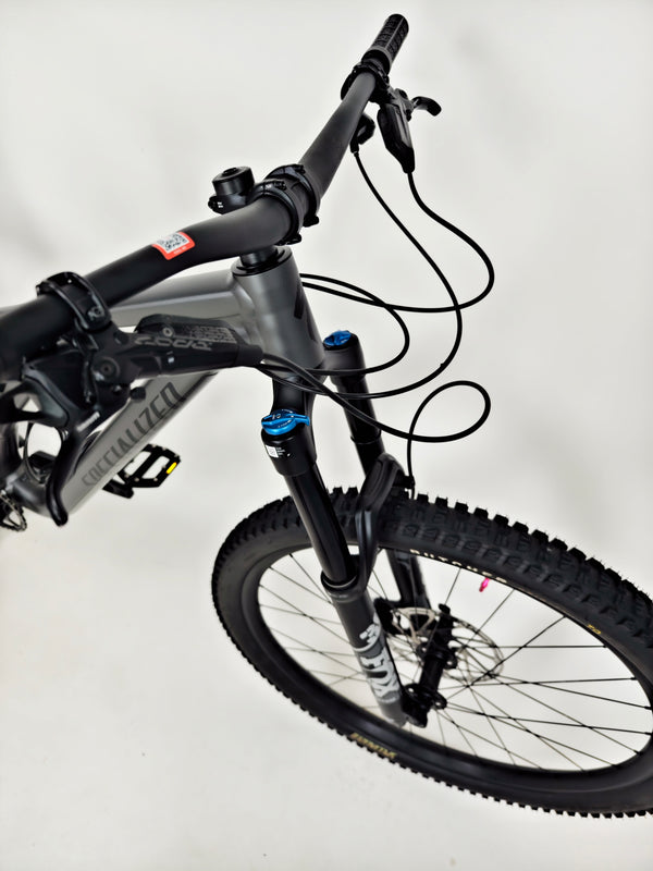 Specialized Stumpjumper EVO Comp Alloy 29 / MEDIUM (S3) / Very Good Condition